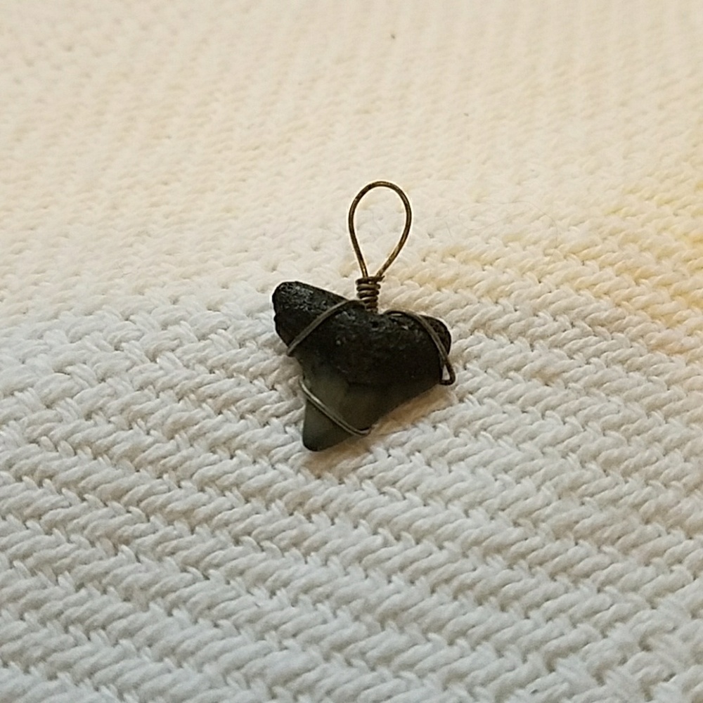 Shark tooth necklace charm